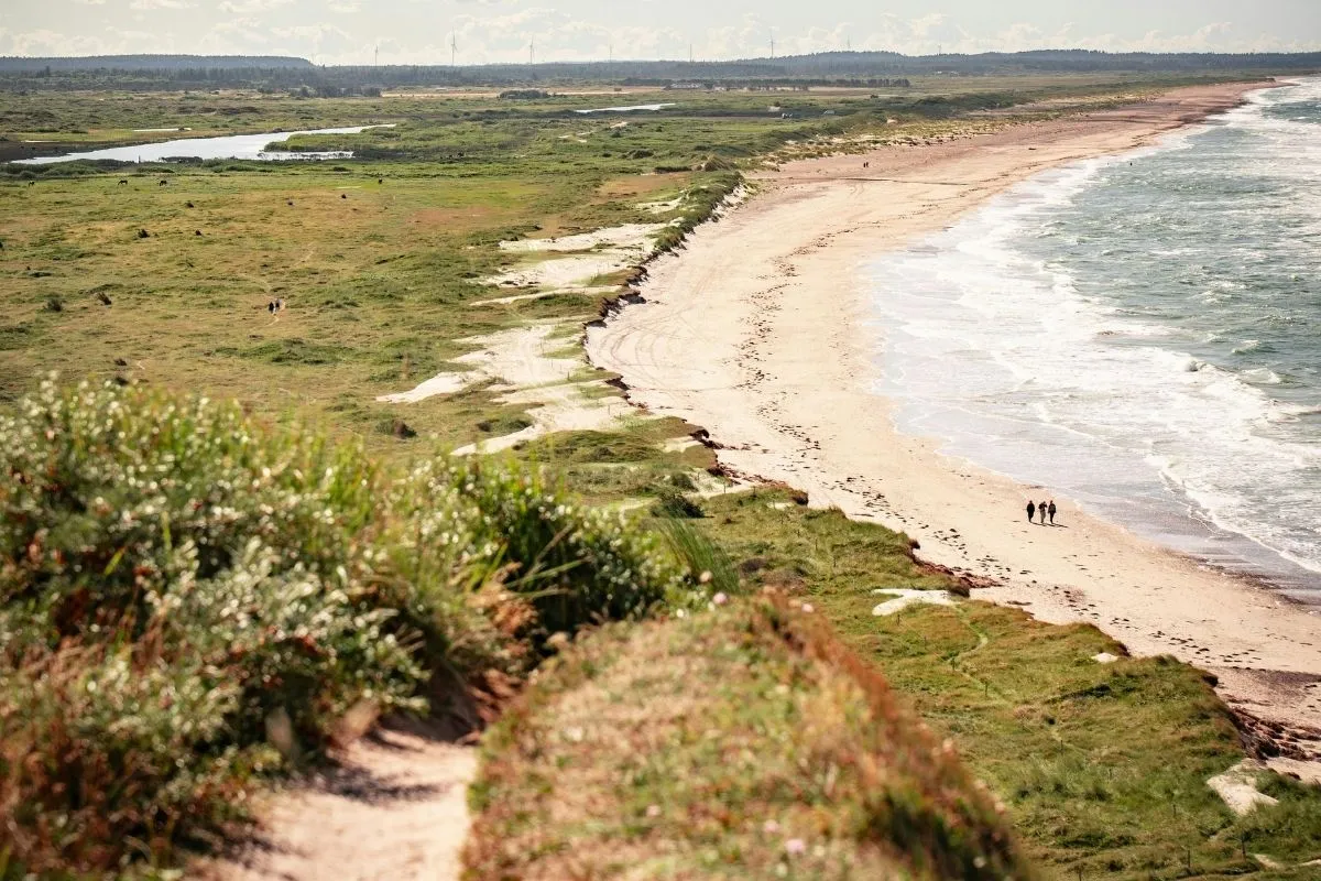 The North Jutland coast near Hirtshals, with dunes and the North Sea
